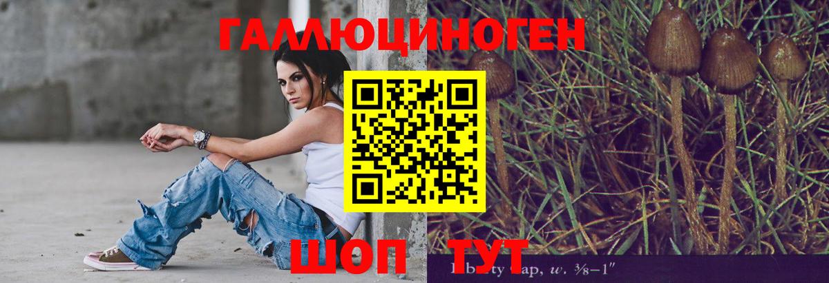 Псилоцибиновые грибы Magic Shrooms  Вход с VPN  Галлюциногенные грибы Magic Shrooms  Астрахань 